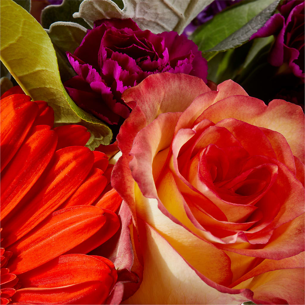 Sangria Bouquet –  Tala Florist Northshore, North Vancouver BC