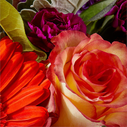 Sangria Bouquet –  Tala Florist Northshore, North Vancouver BC