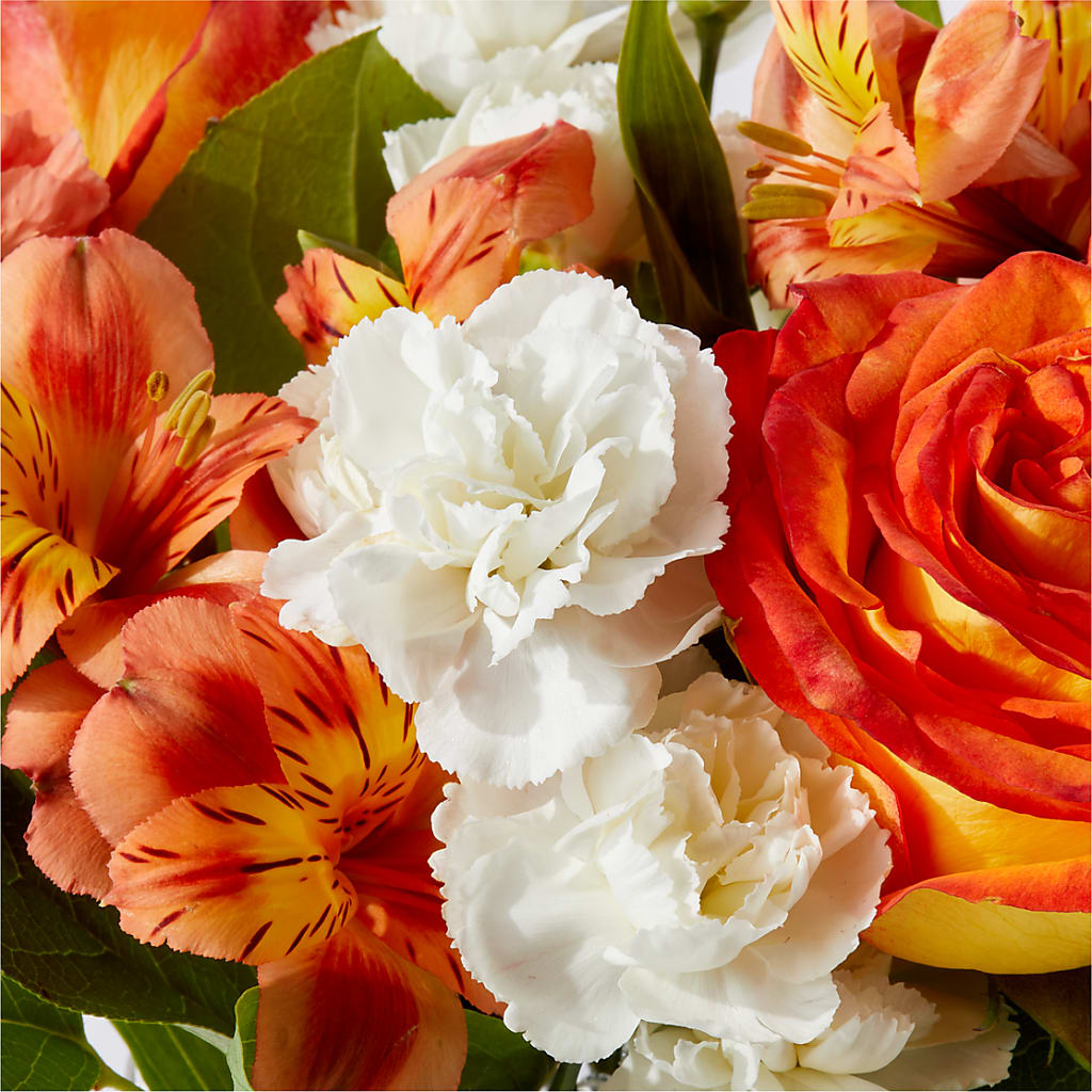 Apricot Glow Bouquet –  Tala Florist Northshore, North Vancouver BC