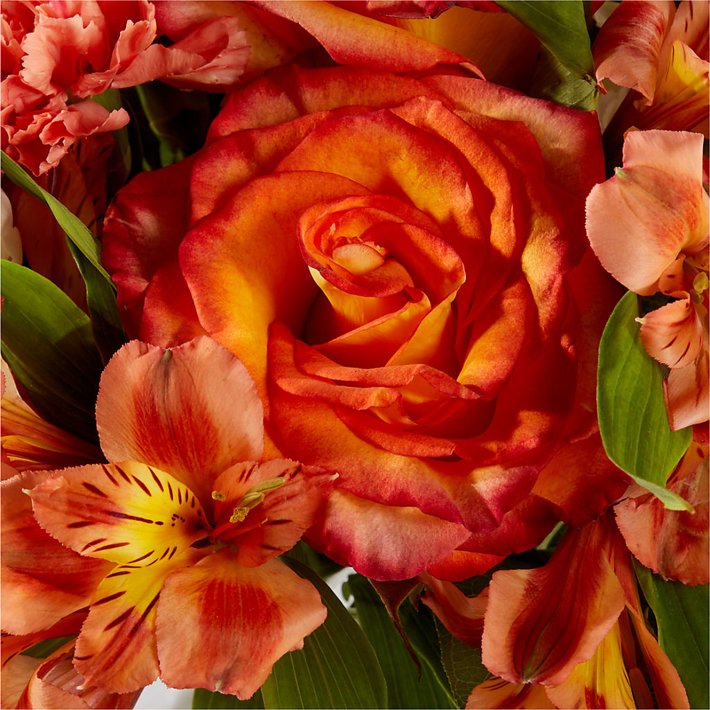 Apricot Glow Bouquet –  Tala Florist Northshore, North Vancouver BC