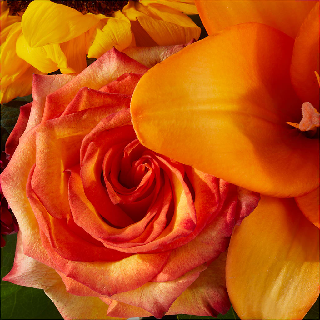 Grateful Centerpiece –  Tala Florist Northshore, North Vancouver BC