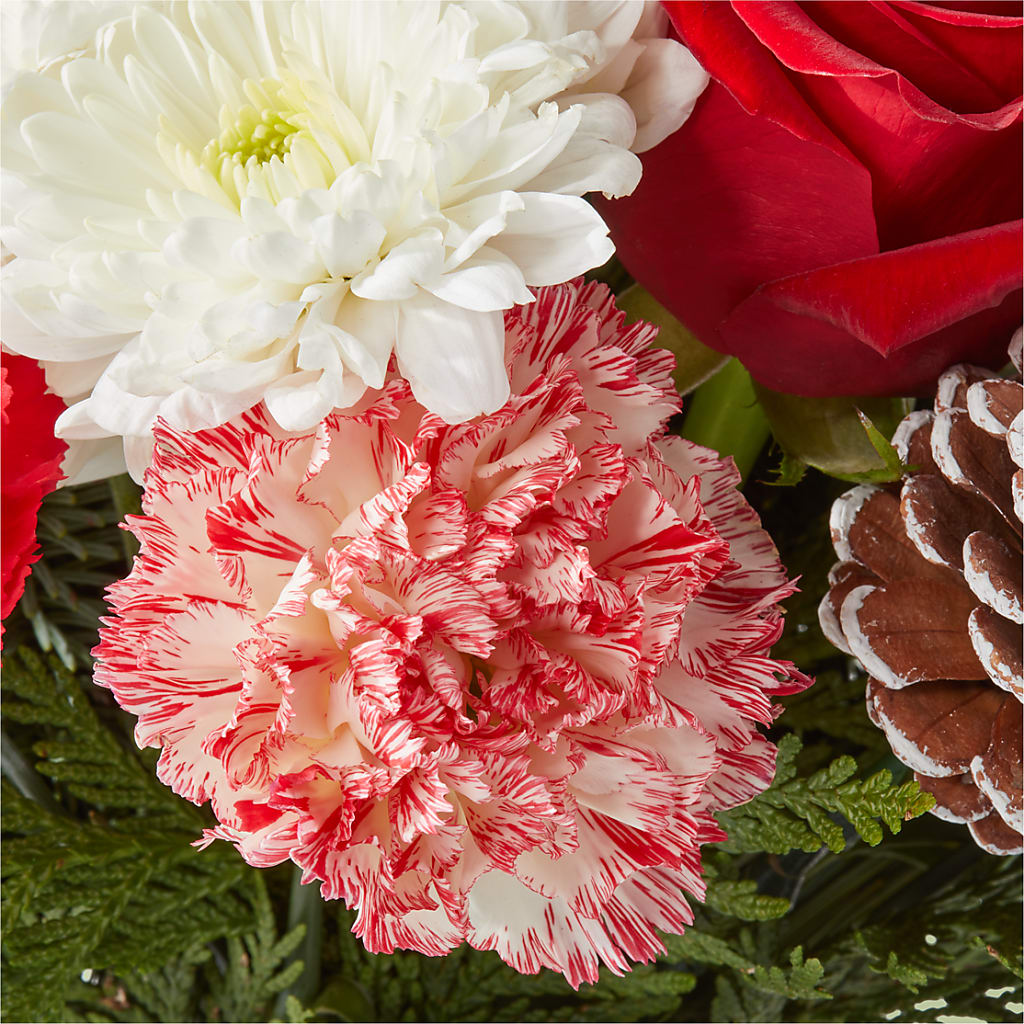 Candy Cane Lane Bouquet –  Tala Florist Northshore, North Vancouver BC