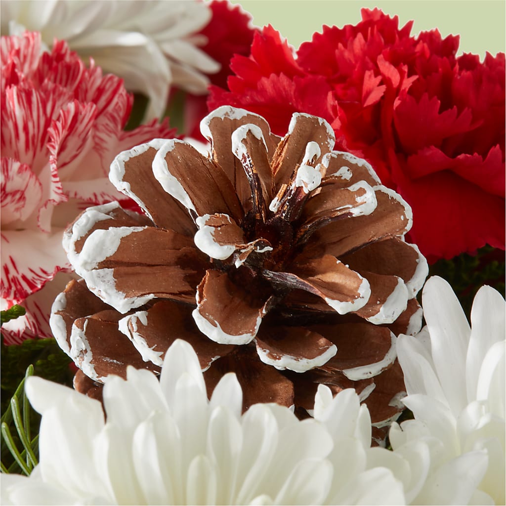 Candy Cane Lane Bouquet –  Tala Florist Northshore, North Vancouver BC