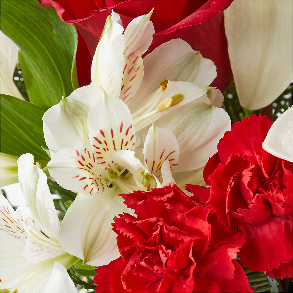 Holiday Season Bouquet –  Tala Florist Northshore, North Vancouver BC