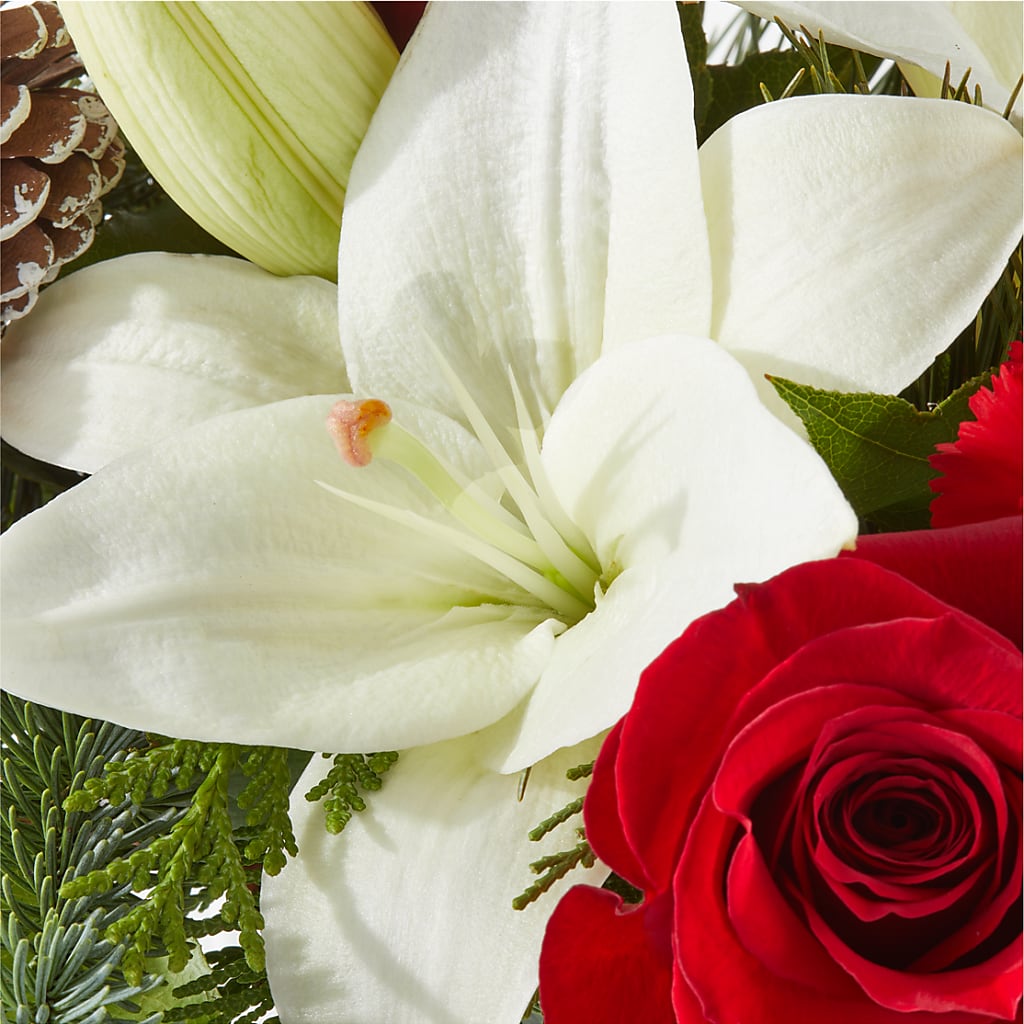 Oh So Jolly Bouquet –  Tala Florist Northshore, North Vancouver BC