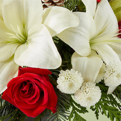Seasonal Festivities Centerpiece –  Tala Florist Northshore, North Vancouver BC