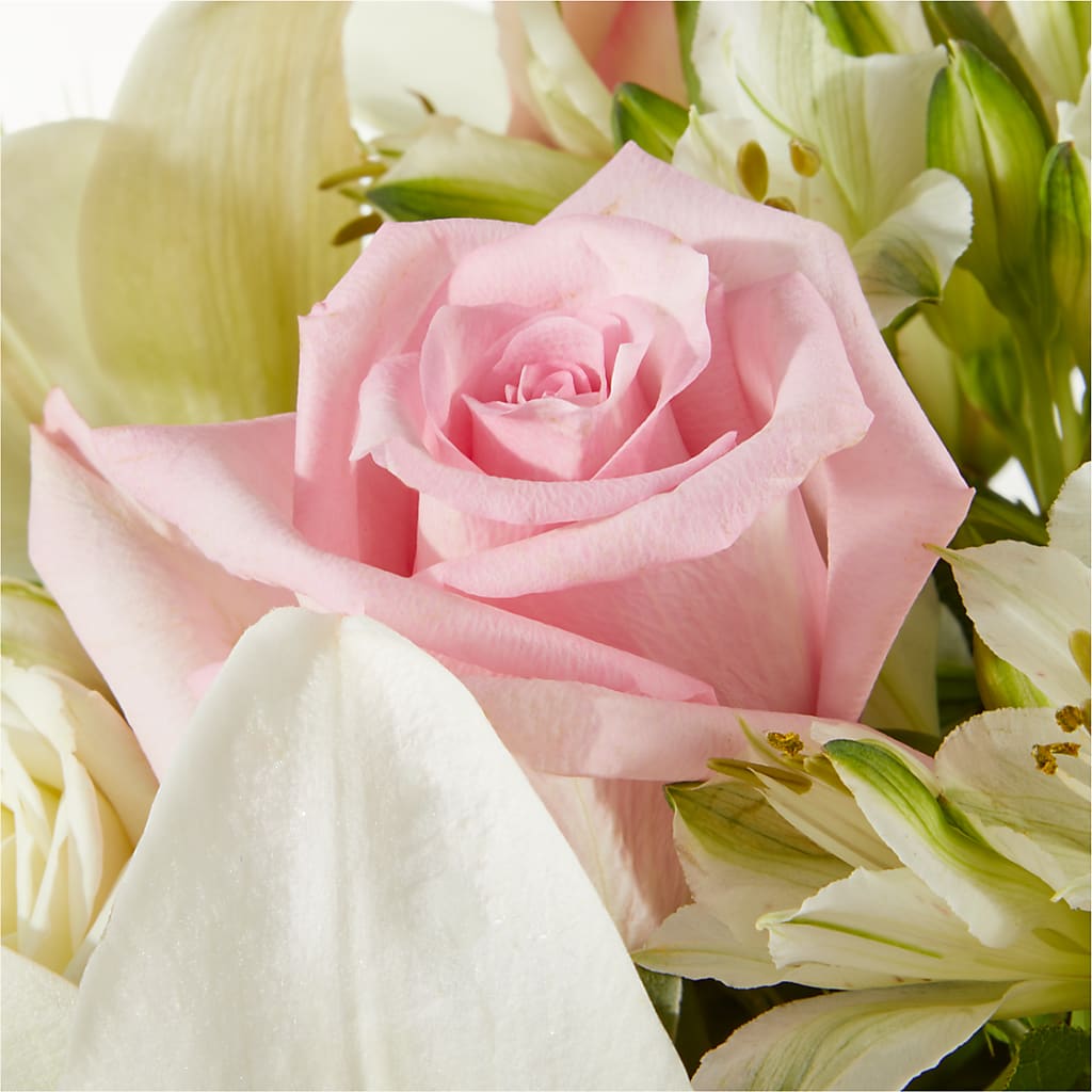 Kindhearted Bouquet –  Tala Florist Northshore, North Vancouver BC