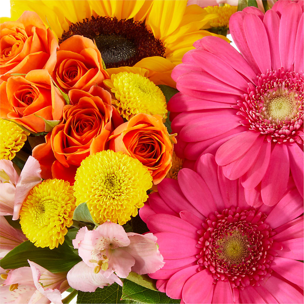 Beach Day Bouquet –  Tala Florist Northshore, North Vancouver BC