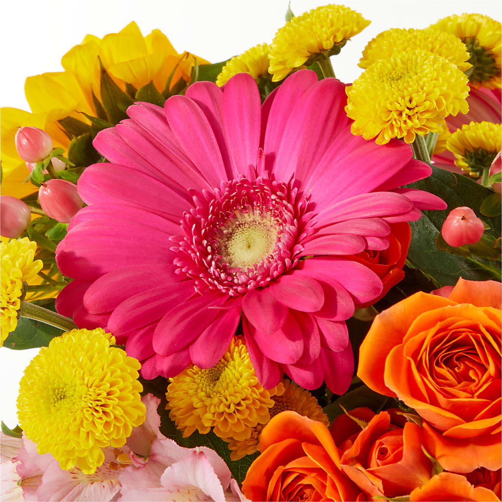 Beach Day Bouquet –  Tala Florist Northshore, North Vancouver BC