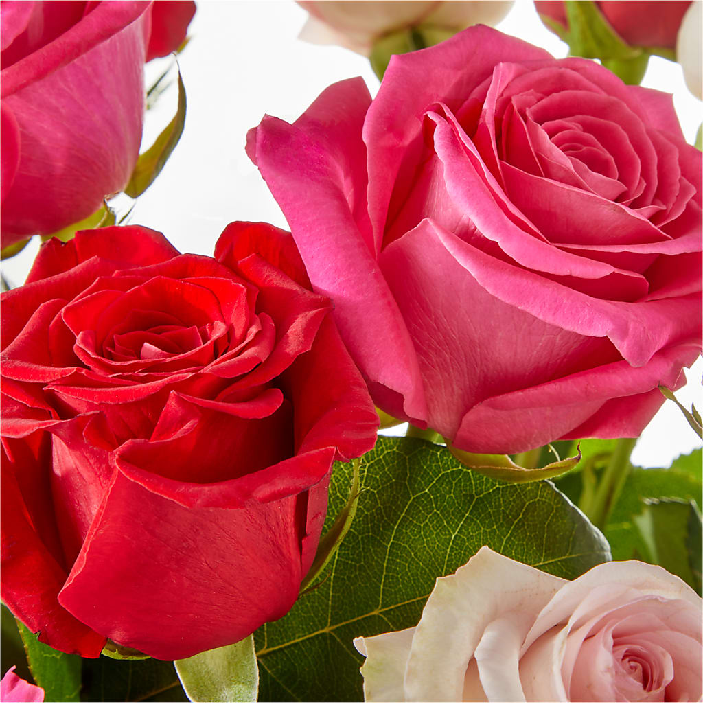 Charming Rose Bouquet –  Tala Florist Northshore, North Vancouver BC