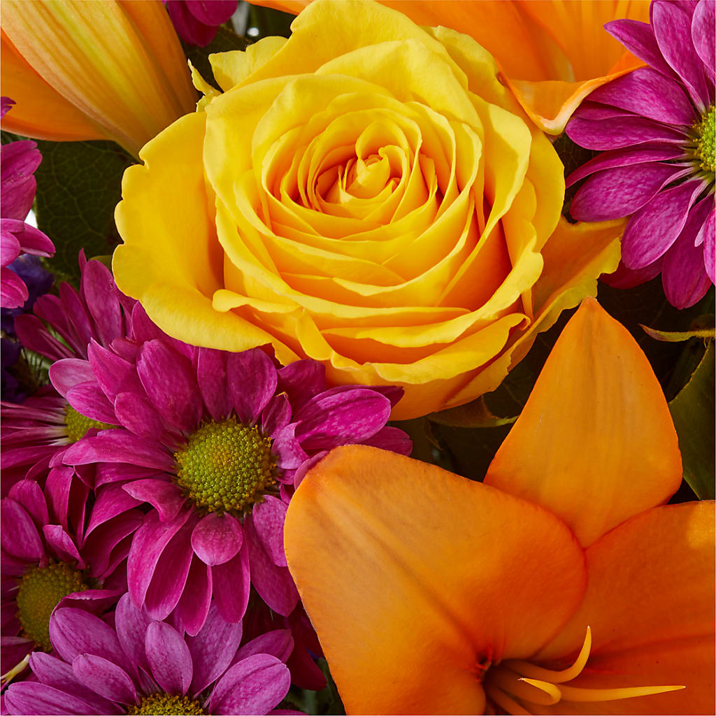Colorful Visions Bouquet –  Tala Florist Northshore, North Vancouver BC