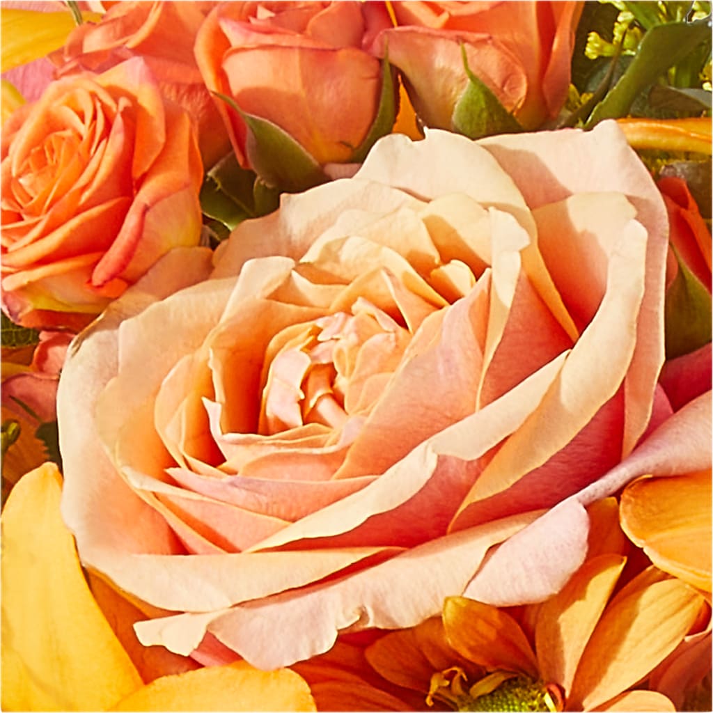 Harvest Hayride Bouquet –  Tala Florist Northshore, North Vancouver BC