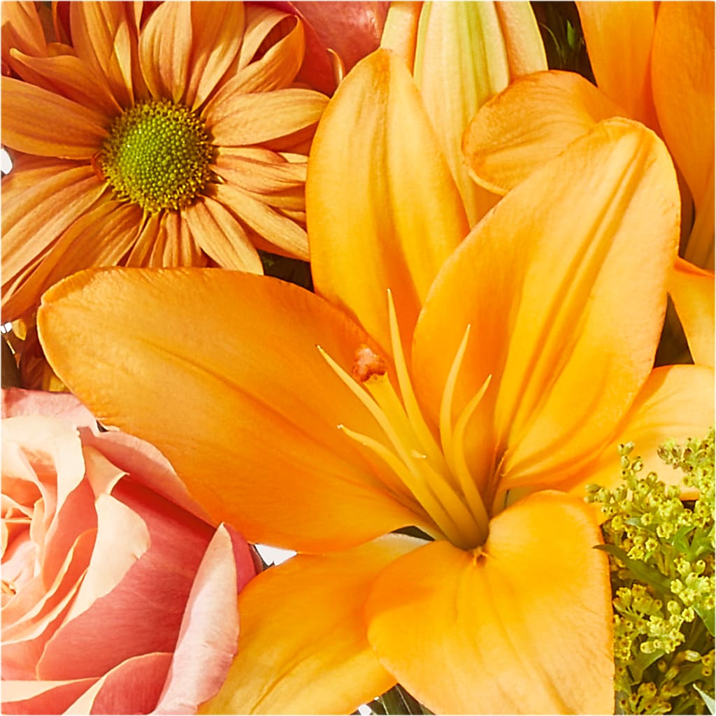 Harvest Hayride Bouquet –  Tala Florist Northshore, North Vancouver BC