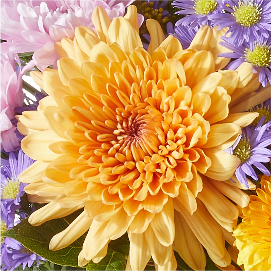 Countryside Bouquet –  Tala Florist Northshore, North Vancouver BC