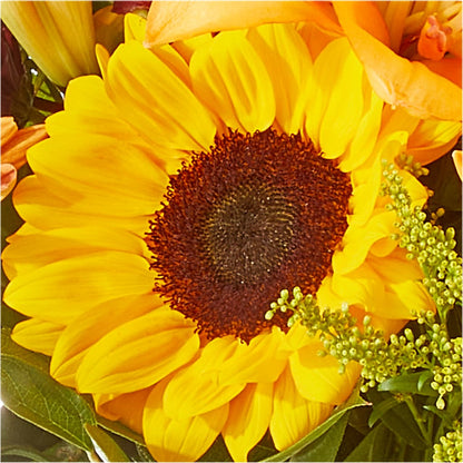 Seasons Change Bouquet –  Tala Florist Northshore, North Vancouver BC