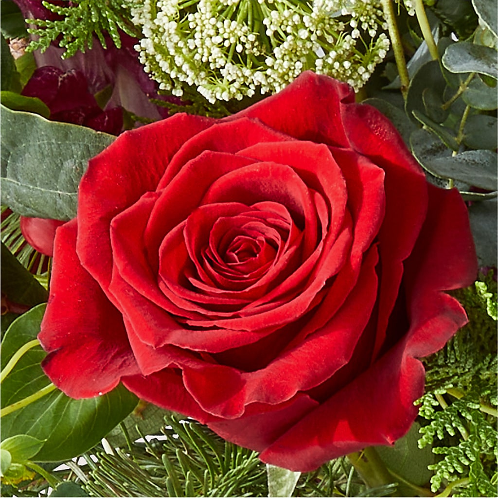 Cranberry Fizz Bouquet –  Tala Florist Northshore, North Vancouver BC