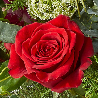 Cranberry Fizz Bouquet –  Tala Florist Northshore, North Vancouver BC