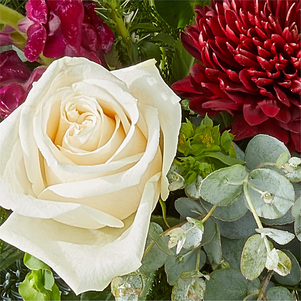 Cranberry Fizz Bouquet –  Tala Florist Northshore, North Vancouver BC