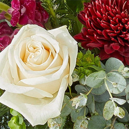 Cranberry Fizz Bouquet –  Tala Florist Northshore, North Vancouver BC