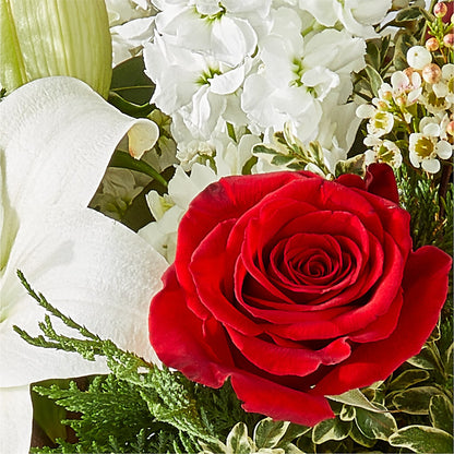 Twinkle Lights Bouquet –  Tala Florist Northshore, North Vancouver BC