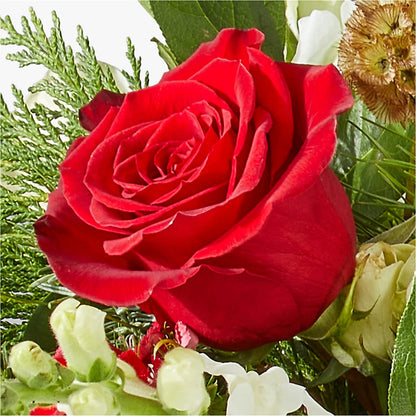 Deck the Halls Bouquet –  Tala Florist Northshore, North Vancouver BC