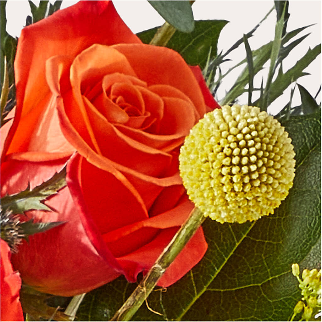 Disco Bouquet –  Tala Florist Northshore, North Vancouver BC