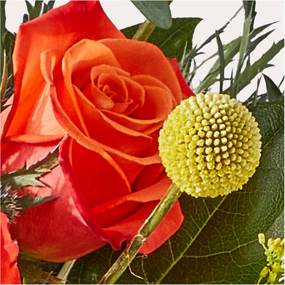 Disco Bouquet –  Tala Florist Northshore, North Vancouver BC