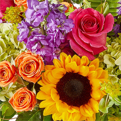 Vibrant Greetings Bouquet –  Tala Florist Northshore, North Vancouver BC