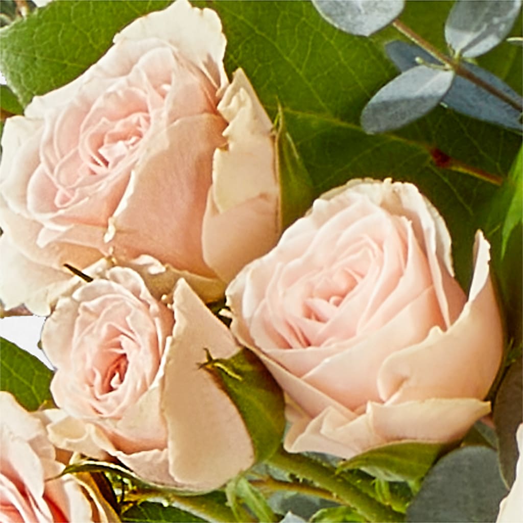 Inspired Bouquet –  Tala Florist Northshore, North Vancouver BC