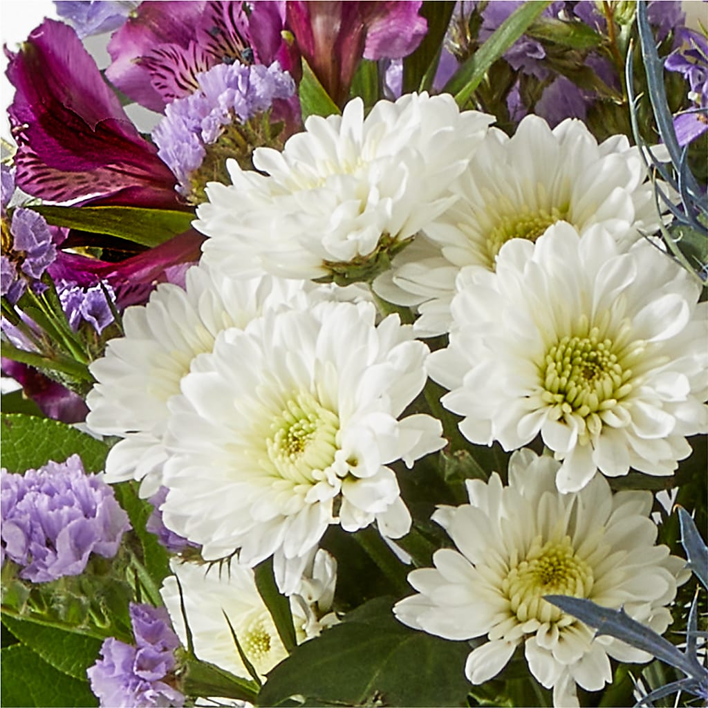 Shooting Star Bouquet –  Tala Florist Northshore, North Vancouver BC