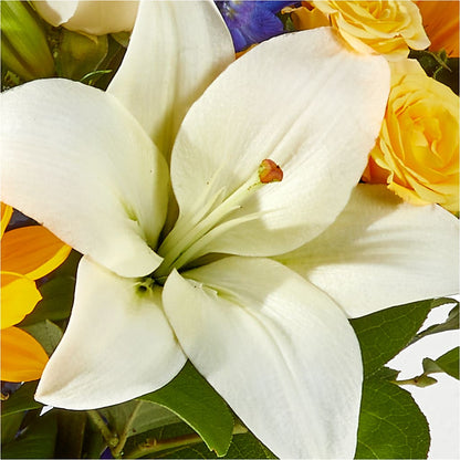 Wonderfully Sunny Bouquet –  Tala Florist Northshore, North Vancouver BC