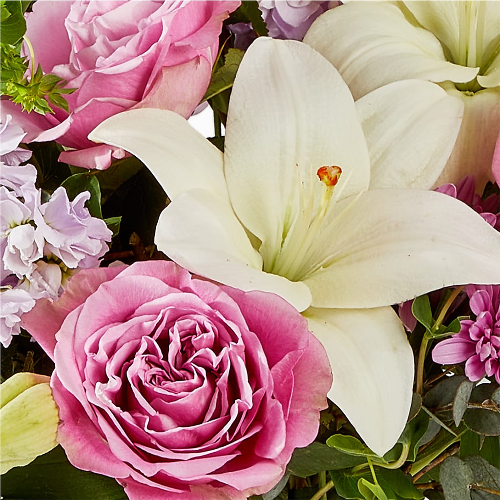 Daydreamer Bouquet –  Tala Florist Northshore, North Vancouver BC