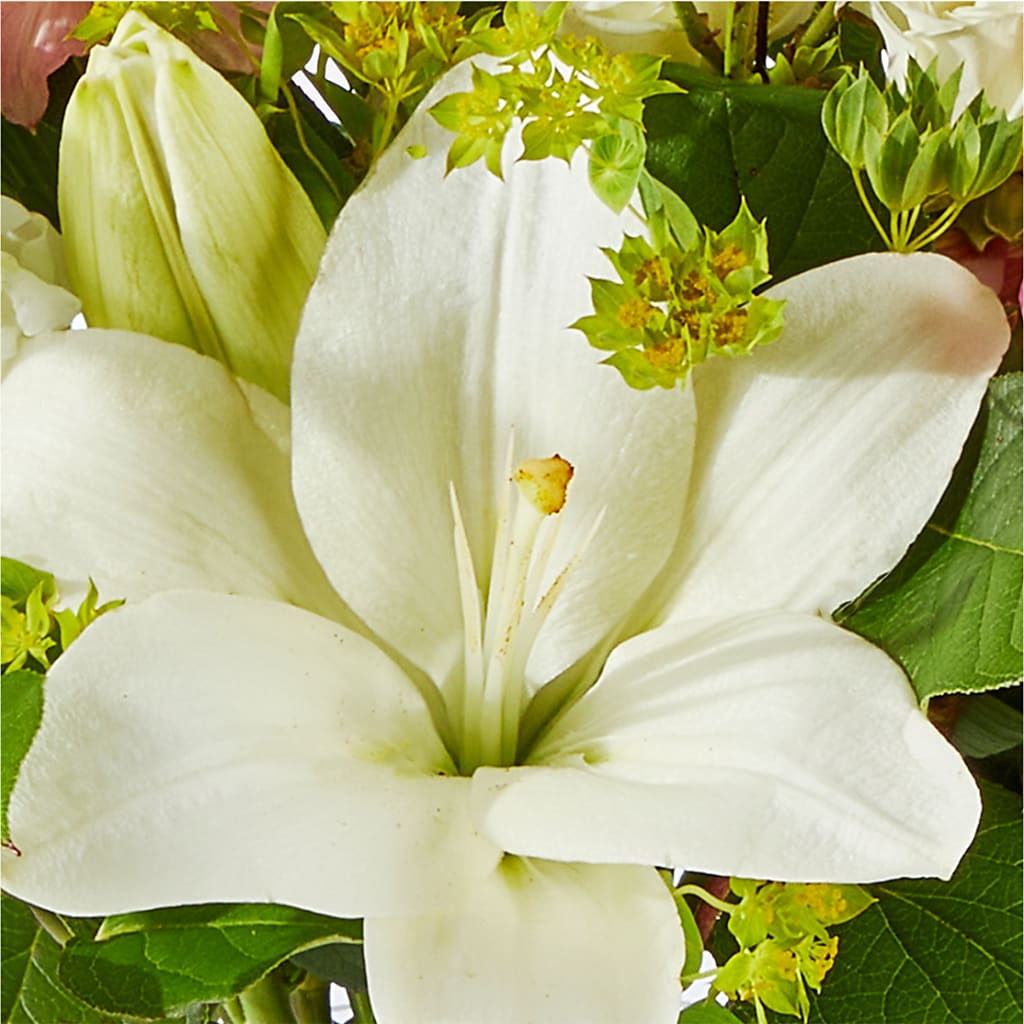 Fondly Bouquet –  Tala Florist Northshore, North Vancouver BC