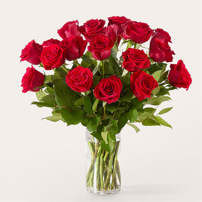 The One Red Rose Bouquet –  Tala Florist Northshore, North Vancouver BC