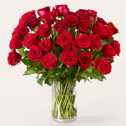 The One Red Rose Bouquet –  Tala Florist Northshore, North Vancouver BC