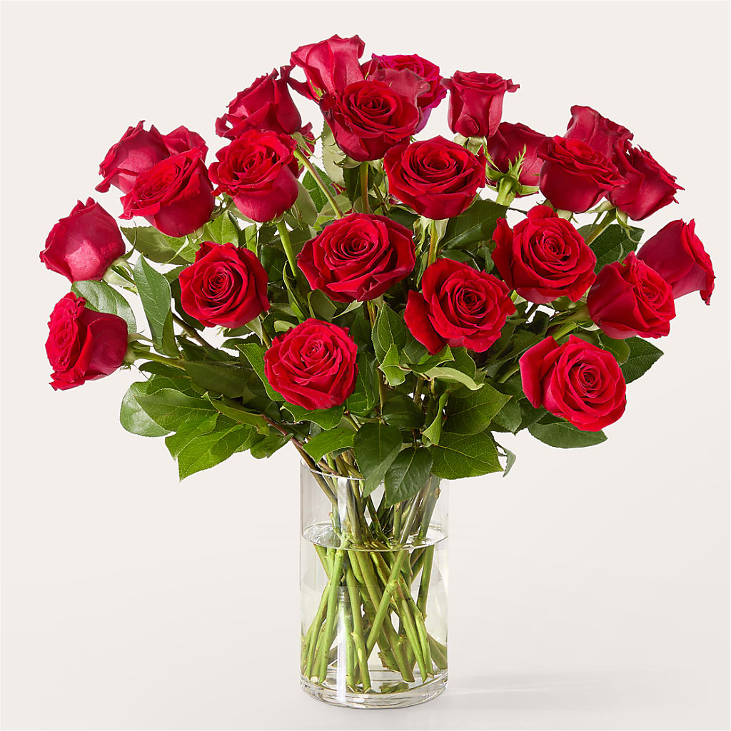 The One Red Rose Bouquet –  Tala Florist Northshore, North Vancouver BC