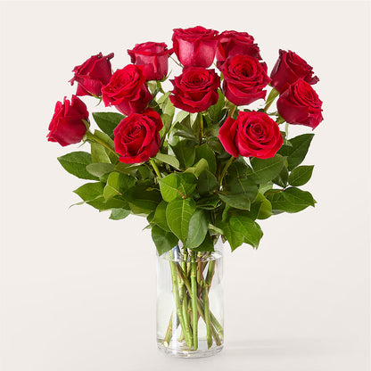 The One Red Rose Bouquet –  Tala Florist Northshore, North Vancouver BC