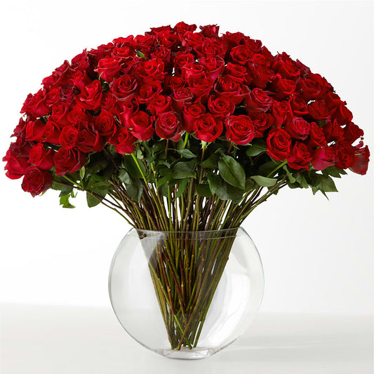 The Idealist –  Tala Florist Northshore, North Vancouver BC