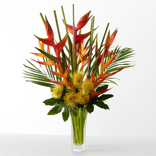 The Drama –  Tala Florist Northshore, North Vancouver BC
