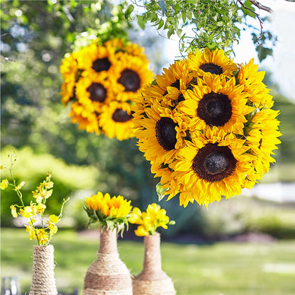 Sublime Garden Hanging Arrangement –  Tala Florist Northshore, North Vancouver BC