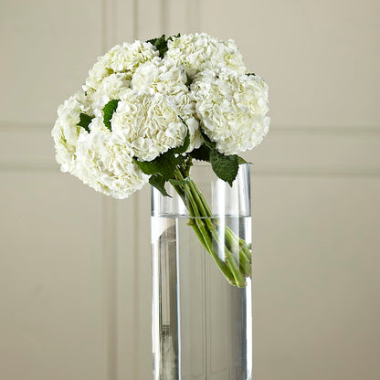 White Hydrangea Hand-Tied Bouquet –  Tala Florist Northshore, North Vancouver BC