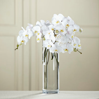 White Phalaenopsis Bouquet –  Tala Florist Northshore, North Vancouver BC