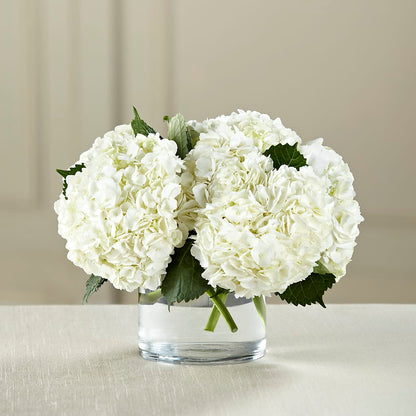 White Hydrangea Bouquet –  Tala Florist Northshore, North Vancouver BC